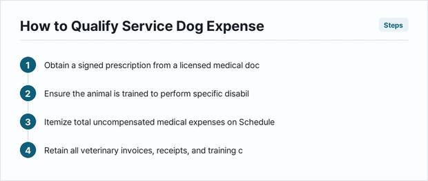 Service dog care — photo 1
