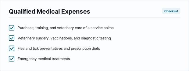 Service dog care — photo 3