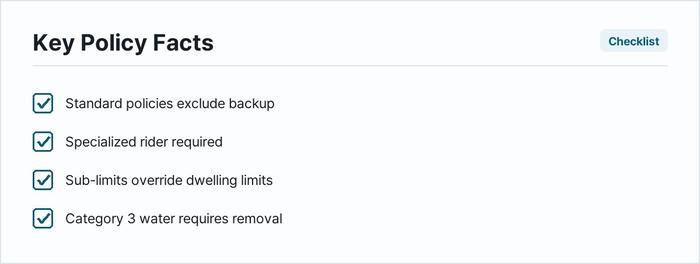 Basement backup — photo 3