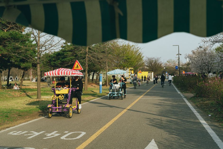 Families enjoy a spring day cycling in a beautiful Seoul park.
