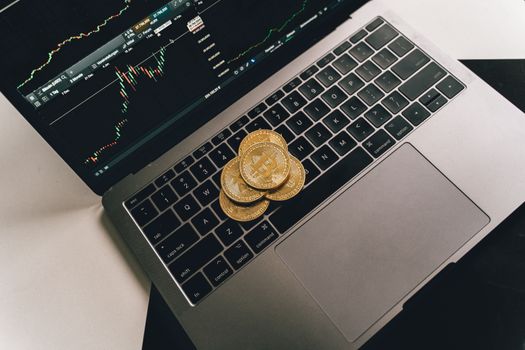 Cryptocurrency Trading Platforms Beginners
