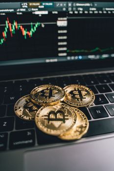 Cryptocurrency Trading Platforms Beginners